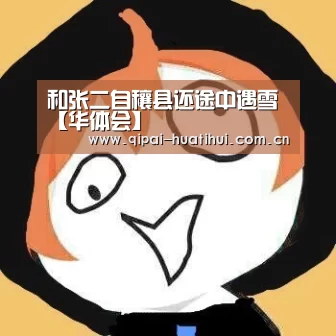 华体会