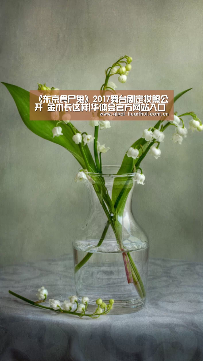 华体会