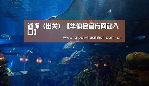 华体会官网