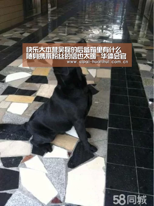 快乐大本营吴磊的后备箱里有什么 随身携带粉丝的信也太暖-华体会官网(图1) 华体会官网