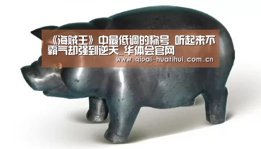 华体会官方网站入口