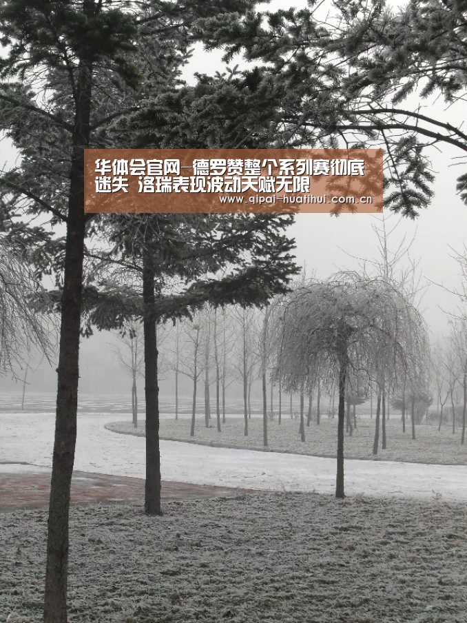华体会官方网站入口