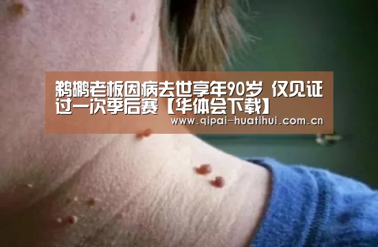 华体会官网