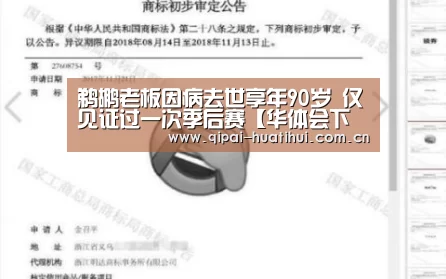 华体会