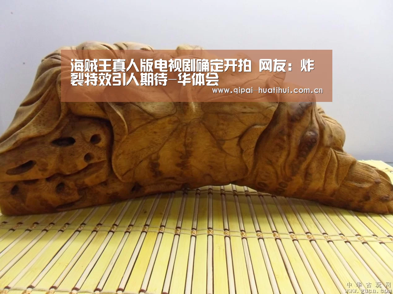 华体会下载